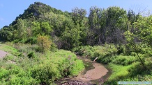 Lietner Creek, a Wisconsin trout stream in Crawford County.