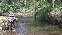McGraw Creek, a Wisconsin trout stream in Crawford County.