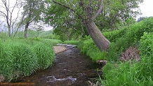 Mormon Coulee Creek, a Wisconsin trout stream in La Crosse County.