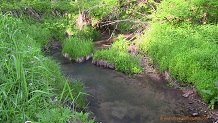Bostwick Creek, a Wisconsin trout stream in La Crosse County.