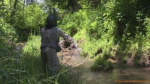 Otter Creek, a Wisconsin trout stream in Richland County.