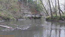 Pine River, a Wisconsin trout stream in Richland County.