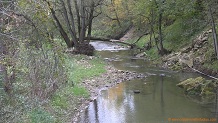 Reads Creek, a Wisconsin trout stream in Vernon County.