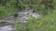 Rush Creek, a Wisconsin trout stream in Crawford County.