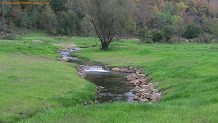 Seas Branch Creek, a Wisconsin trout stream in Vernon County.