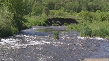 South Fork Bad Axe River, a Wisconsin trout stream in Richland County.