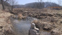 Buck Creek, a Wisconsin trout stream in Crawford County.