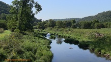 Tainter Creek, a Wisconsin trout stream in Crawford County.
