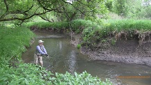 Chenneye Valley Creek, a Wisconsin trout stream in Vernon County.