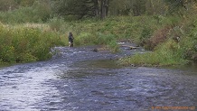 West Fork Kickapoo River, a Wisconsin trout stream in Vernon County.