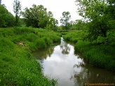 Trout stream in Southwest Wisconsin.