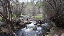 Santa Clara River, UT