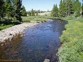West Fork Black's Fork River in Uintah Wilderness