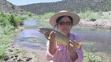16 inch brown trout, EF Sevier River, UT