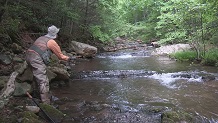Fishing Smith Creek, Virginia