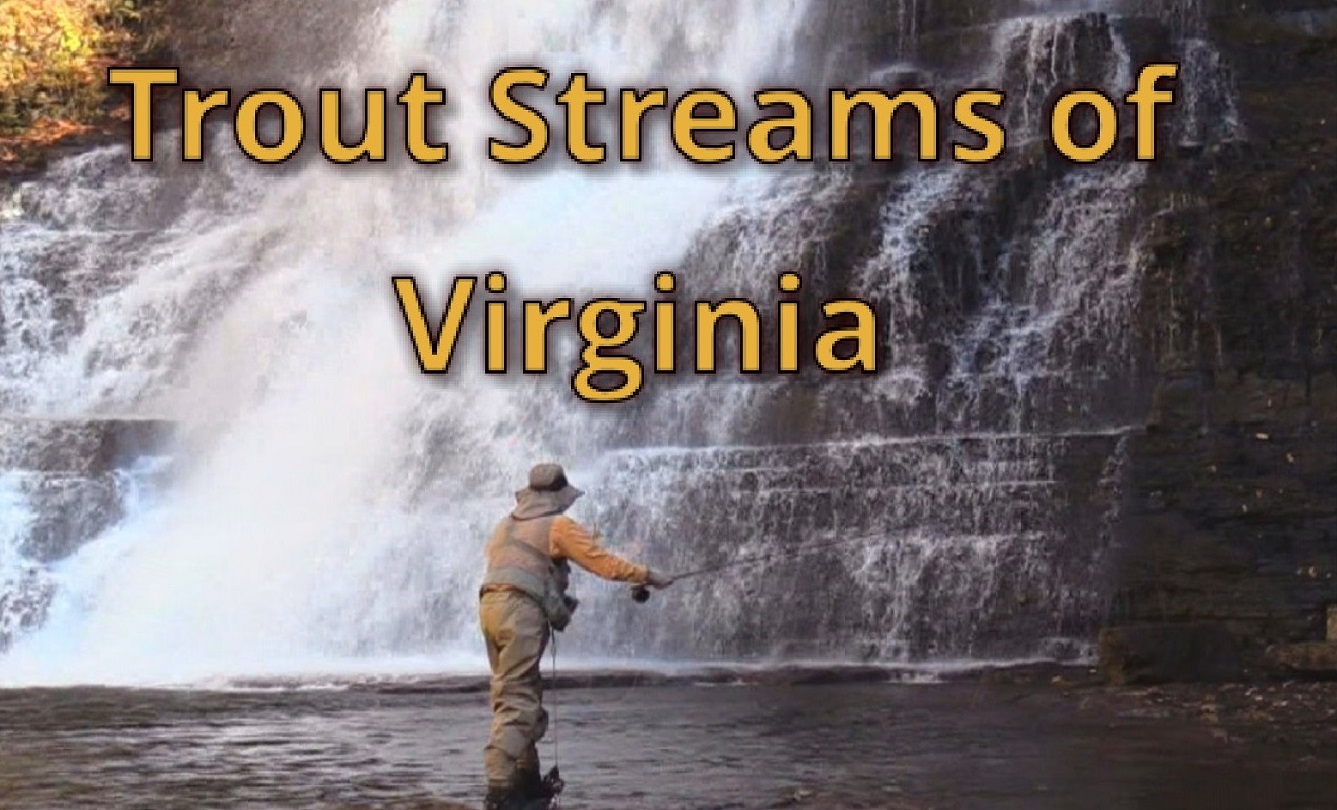 Trailer for DVD Trout Streams of Virginia