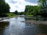 Black River near Cty Rd X, WI