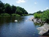 Black River near Neilsville, WI