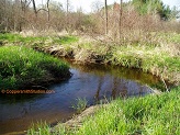 Cave Creek, a trout stream in East Central Wisconsin.