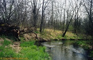 a trout stream in East Central Wisconsin.