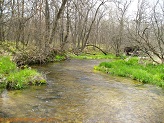  a trout stream in East Central Wisconsin.