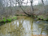 Mecan River, a trout stream in East Central Wisconsin.