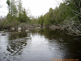 Plover River, a trout stream in East Central Wisconsin.