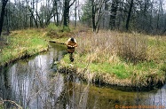 Willow Creek, a trout stream in East Central Wisconsin.