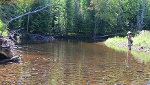 Tyler Forks River, a trout stream in NE Wisconsin.