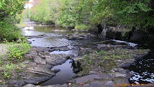 Tyler Forks River, a trout stream in NE Wisconsin.