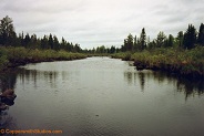 Wilson Creek, a trout stream in NE Wisconsin.