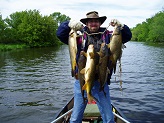 Carp from Beaver Dam River, Wisconsin