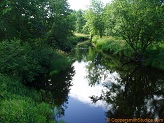 Black Creek, a trout stream in WC Wisconsin.