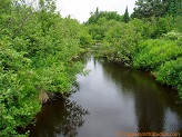 North Fork Copper River, a trout stream in WC Wisconsin.