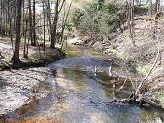 Elk Creek, a trout stream in WC Wisconsin.