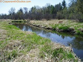 Hay River, a trout stream in WC Wisconsin.