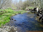 South Fork Hay River, a trout stream in WC Wisconsin.