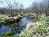 McCann Creek, a trout stream in WC Wisconsin.