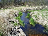 McCann Creek, a trout stream in WC Wisconsin.