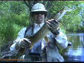 4 lb pike from NF Jump River