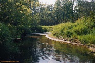 Deer Tail Creek, WI