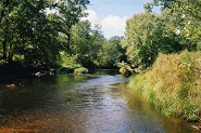 Thornapple River, WI