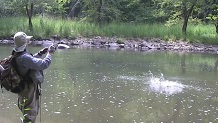 Fishing Bluestone River, West Virginia