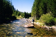 Grayling Creek